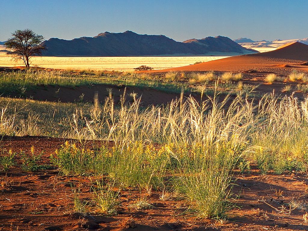 Gondwana Namib Desert Lodge Solitaire Luaran gambar